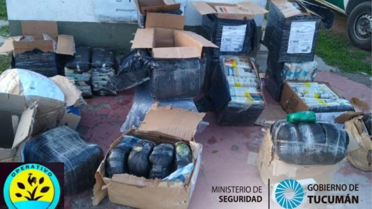 Secuestraron 180 Kilos De Hojas De Coca En Trancas