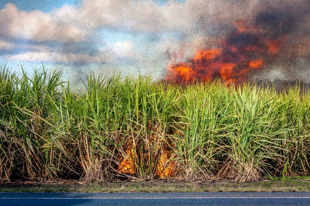 El Impacto Ambiental Ocasionado Por La Quema De Ca Averales