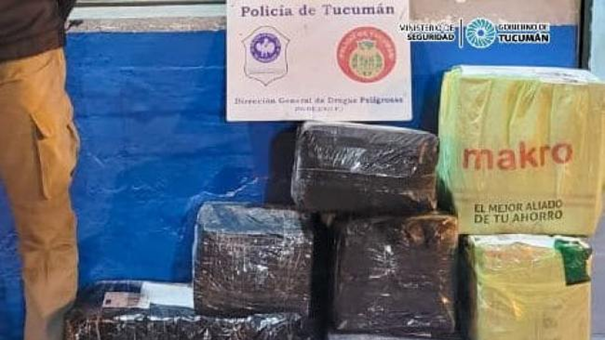 Operativo Lapacho Secuestraron 50 Kilos De Hojas De Coca