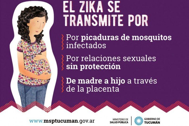 Resultado de imagen para dengue tucuman