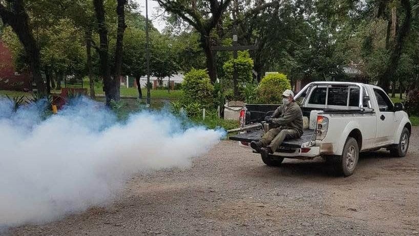 Dengue: se confirmaron 670 casos.