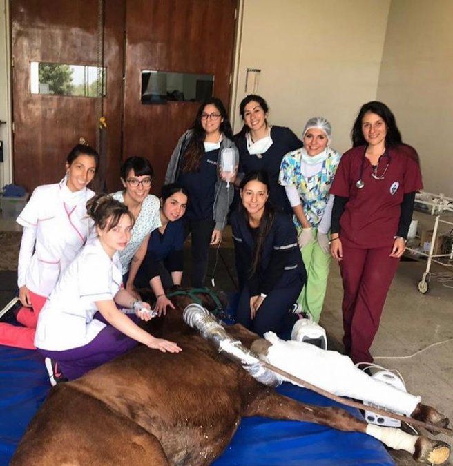 La carrera de Veterinaria volver&aacute; a recibir Ingresantes.