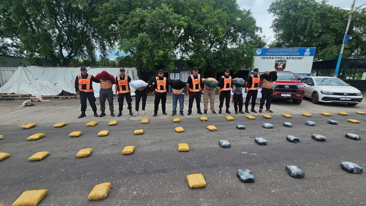 La Policía de Tucumán secuestró 203 kilos de marihuana