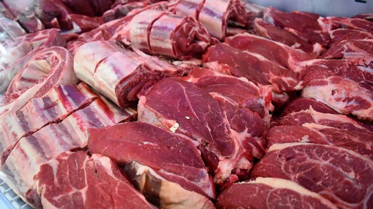 El gobierno presentó precios accesibles para carnes