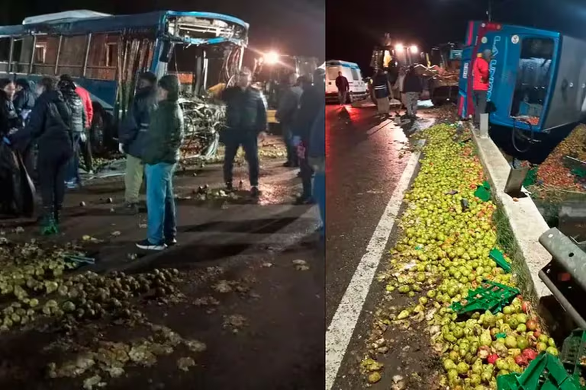 Trágico choque entre un colectivo y un camión en Mendoza: tres muertos. (Foto: Infobae)
