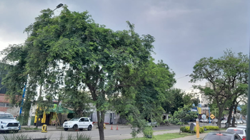 El tiempo en Tucumán: 