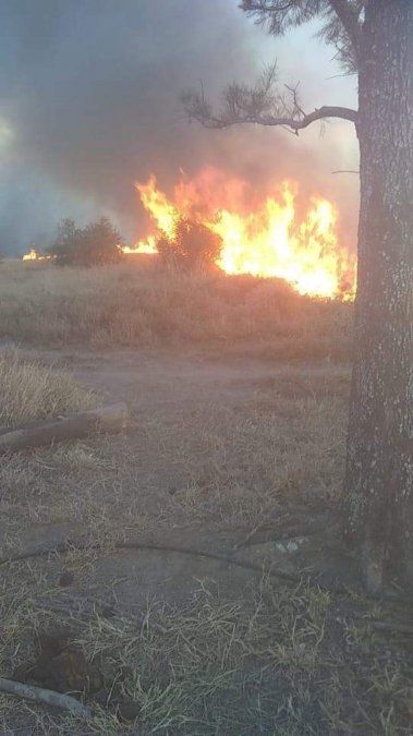 Se quemaron 25 hectáreas de pasto en la zona Benjamín Paz