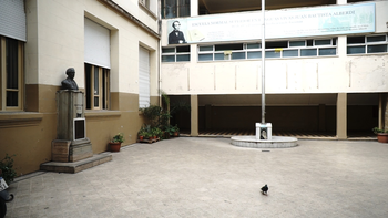 Roedores en la Escuela Normal: 