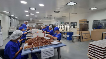 Noventa y seis personas ya fallecieron a causa del fentanilo