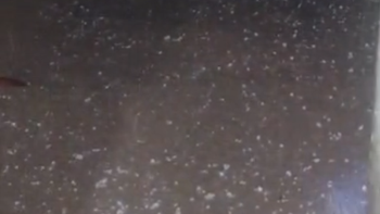 En Amaicha del Valle el temporal llegó con granizo