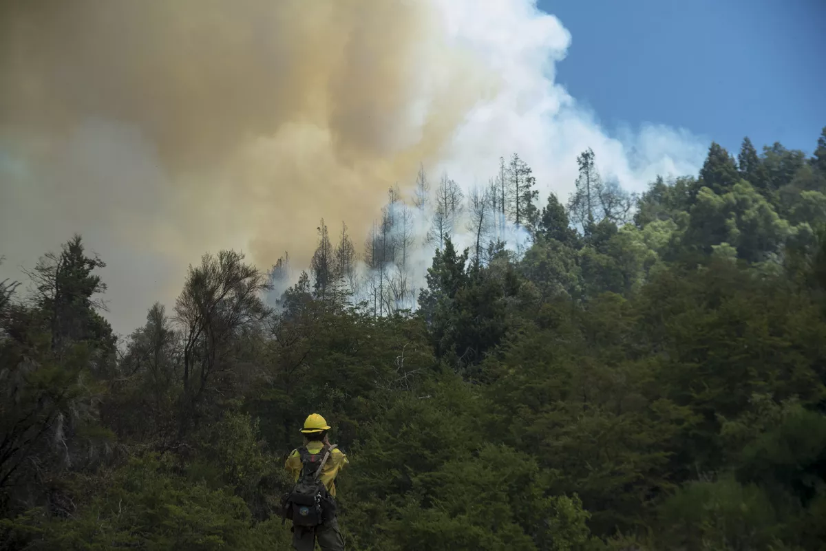 Nueve provincias seguían con focos de incendios forestales