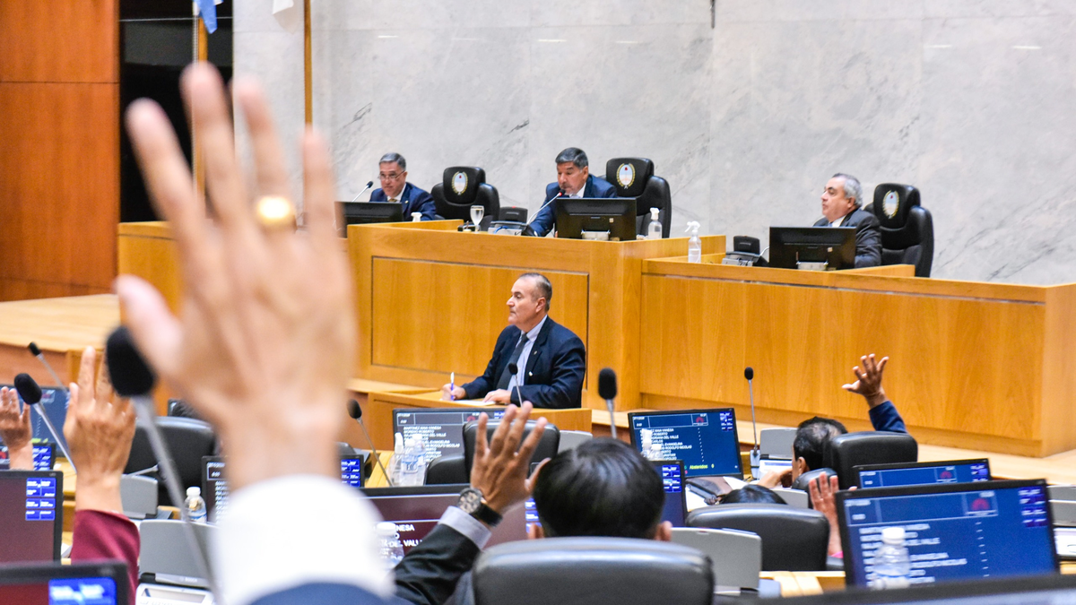 La Legislatura tratará este jueves la emergencia económica y social