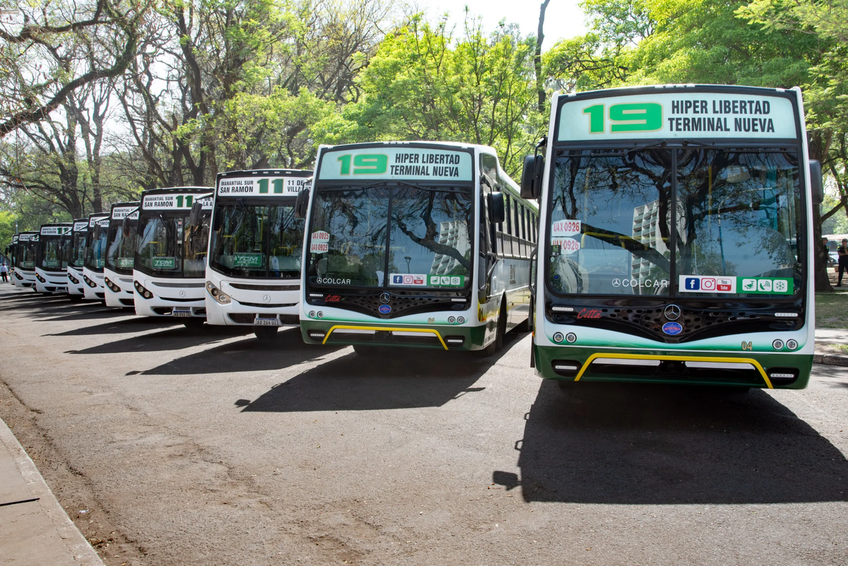 Con la compra de colectivos buscan mejorar el servicio de transporte.&nbsp;