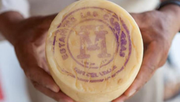 el queso de tafi del valle obtuvo indicacion geografica: es un honor