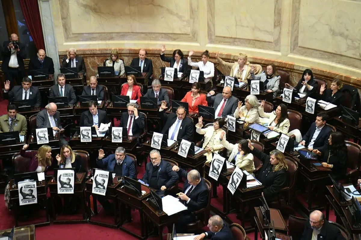 El bloque de Unión por la Patria en el Senado. Foto: C5N