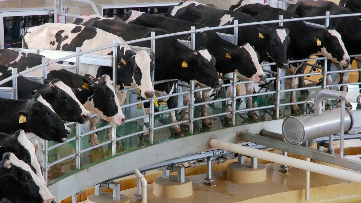 Sector lácteo: Estas medidas son apenas un paliativo