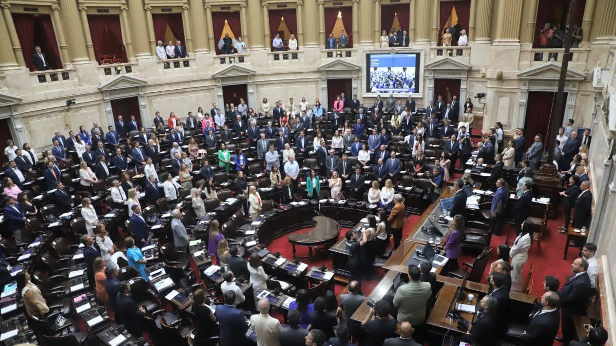 Dnu Se Confirmaron Los Diputados Que Integrarán La Bicameral 9755