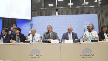 Ley de Glaciares: Su tratamiento continúa el jueves tras una jornada tensa