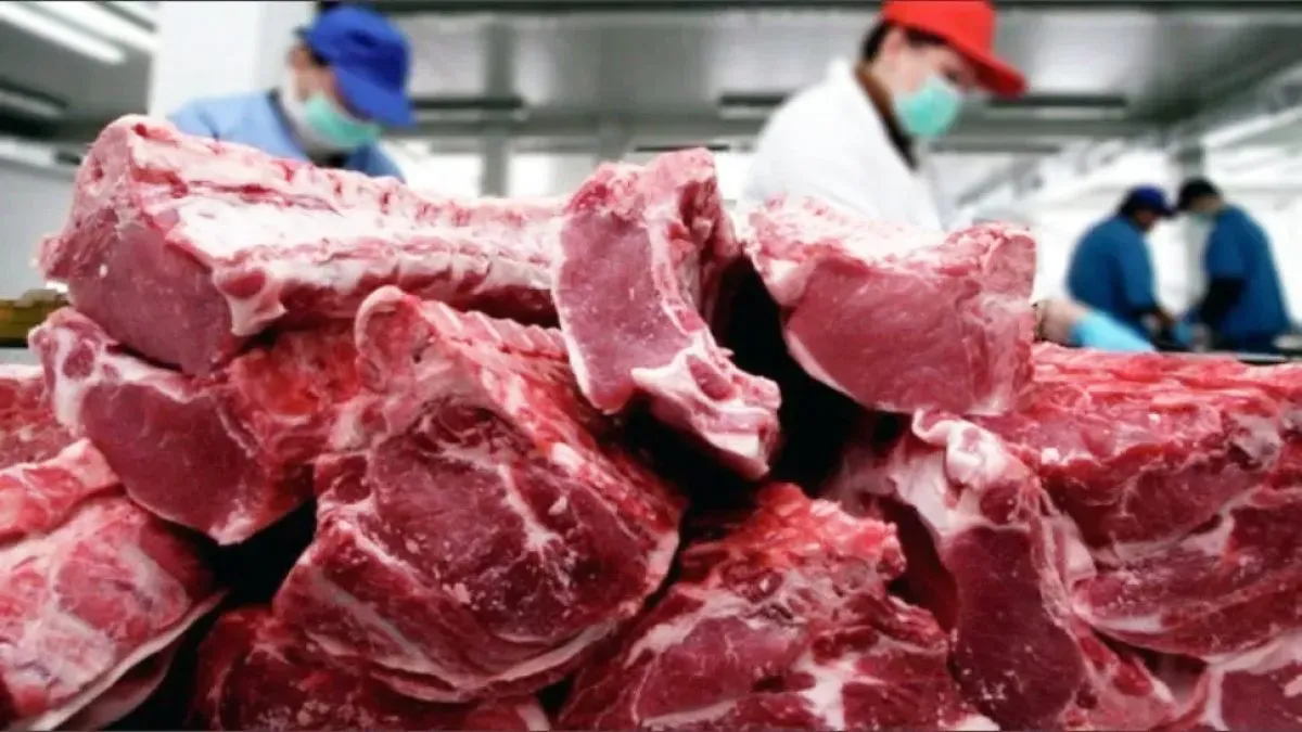 La exportación de carne vacuna fue récord en mayo