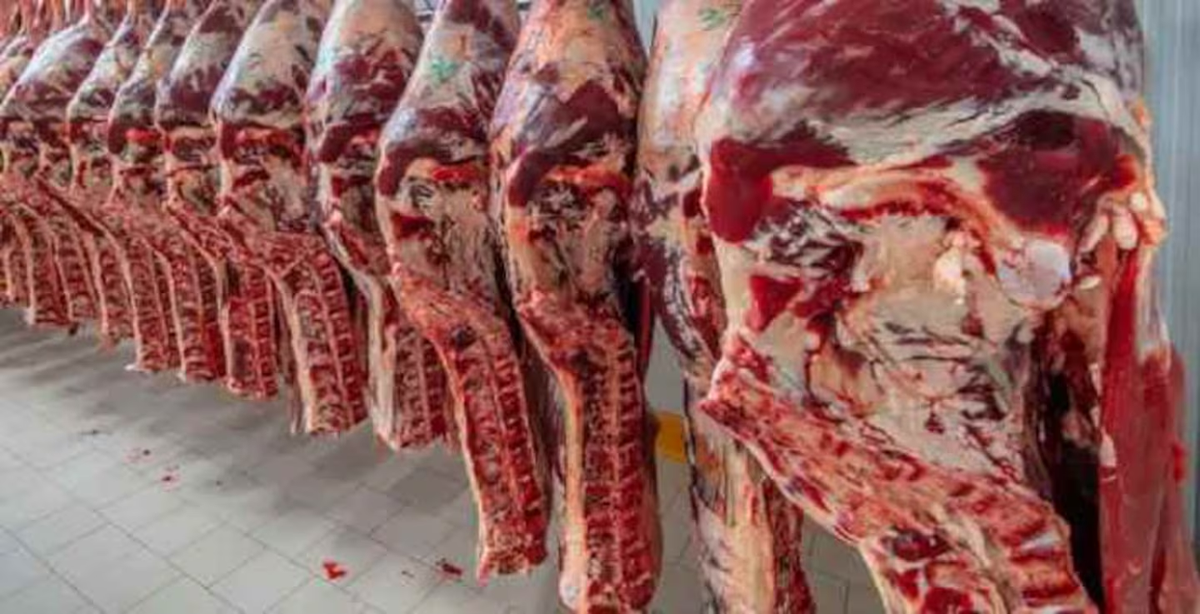 Según los analistas, la suba de la carne impulsó la aceleración de la inflación. (Foto: Infobae)