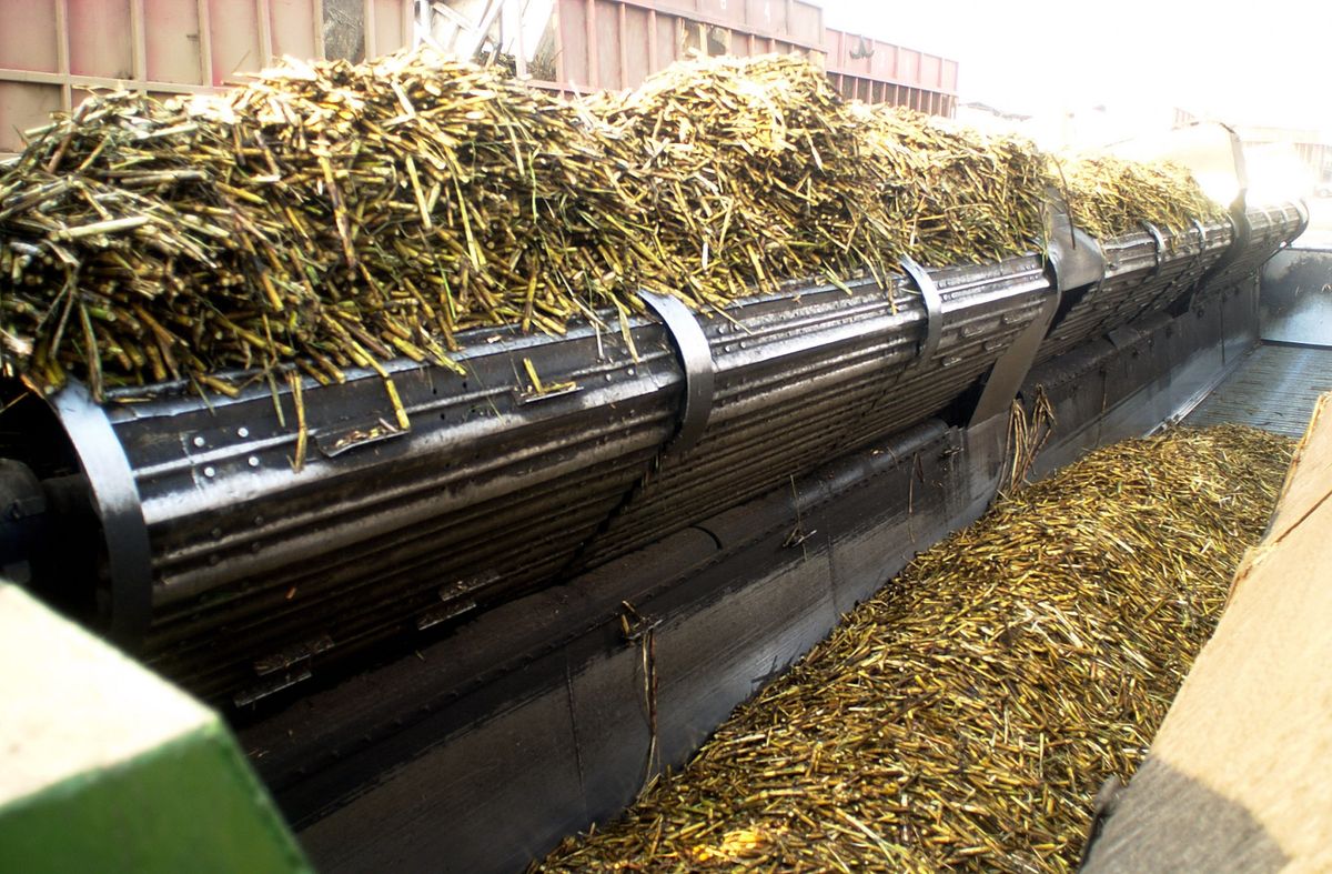 Exportaciones agroindustriales: cómo le fue al azúcar y al limón