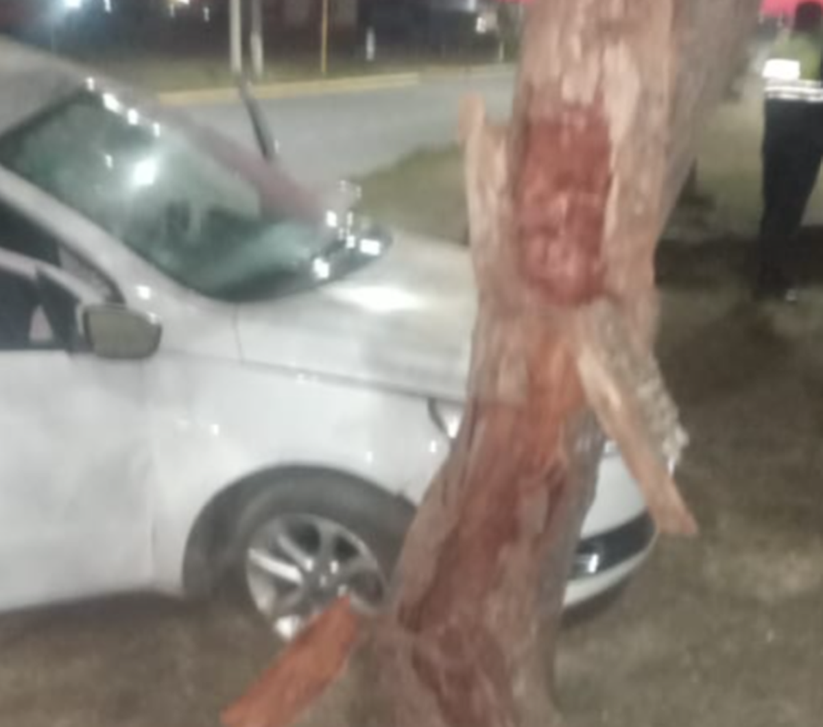Yerba Buena: se durmió y chocó su auto contra un árbol.
