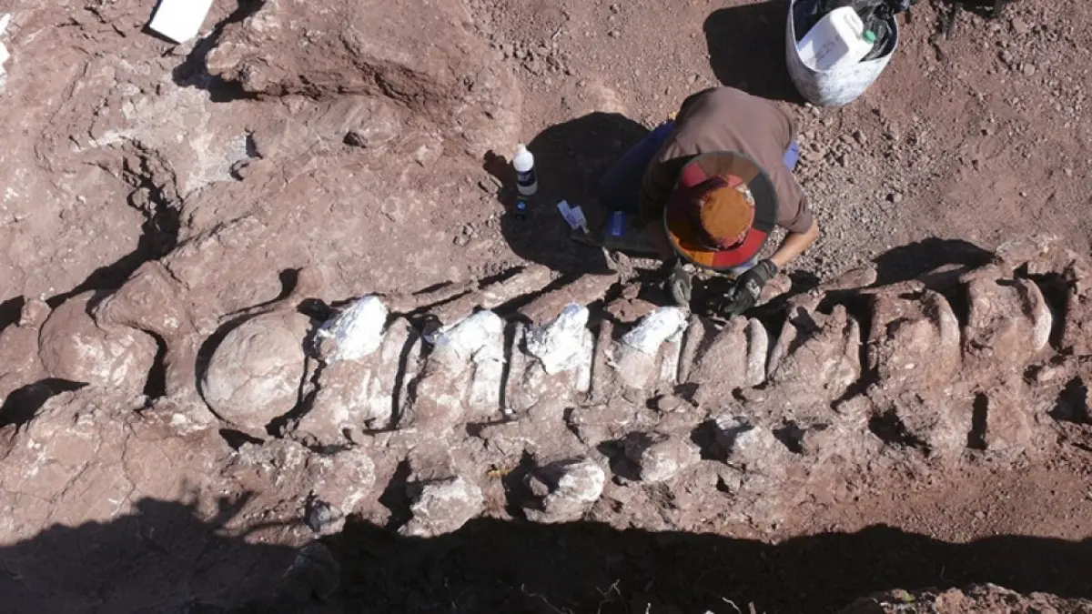 El titanosaurio más antiguo del mundo estuvo en la Patagonia