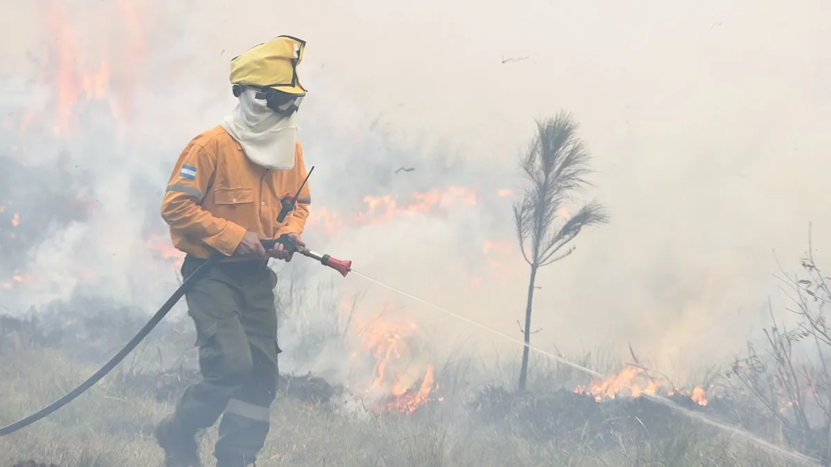 Corrientes: más de 3.000 hectáreas incendiadas