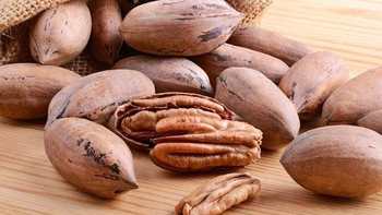 La nuez pecán en Tucumán se consolida como alternativa productiva