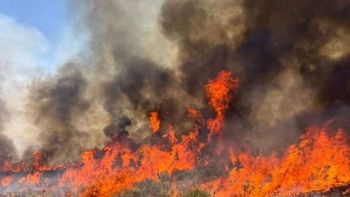 Estados Unidos: se estrelló helicóptero que combatía un incendio forestal