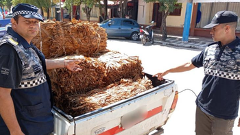 Secuestran 300 kilos de tabaco que eran transportados ilegalmente