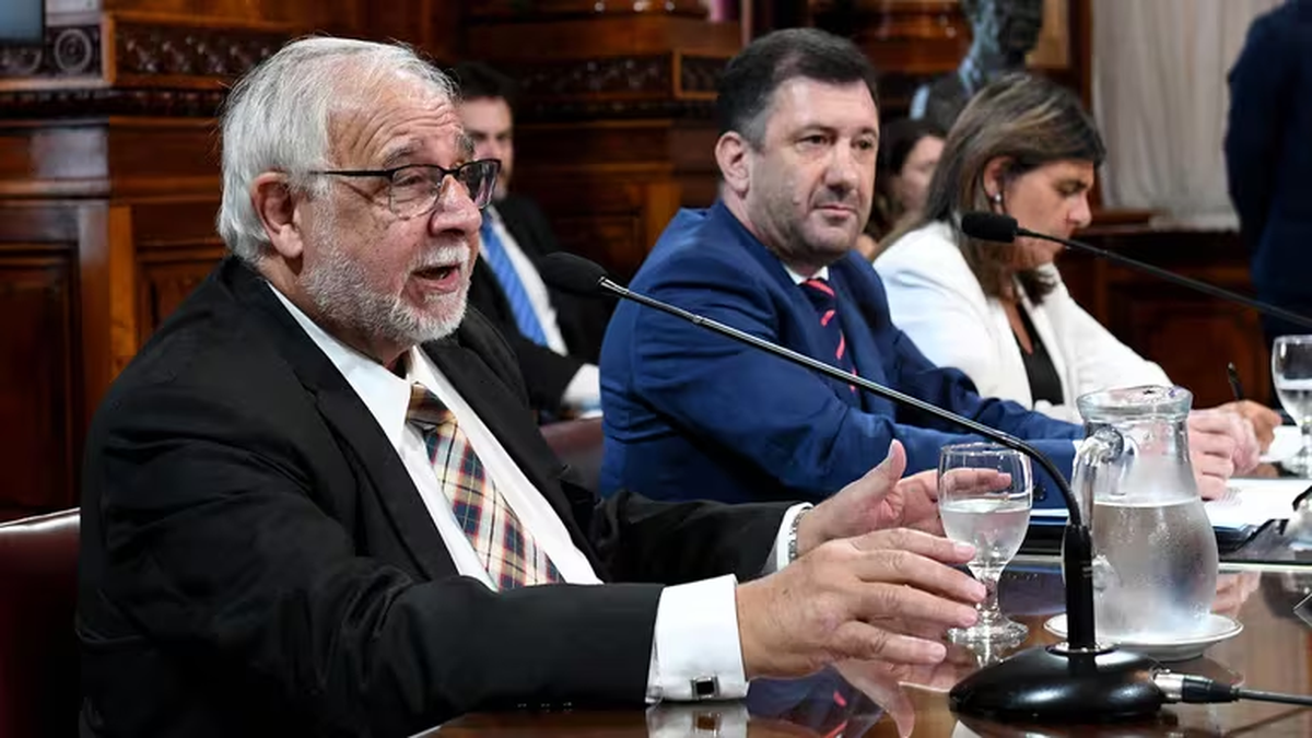 El legislador libertario y titular de la comisión de Justicia y Asuntos Penales de la Cámara alta, Juan Carlos Pagotto. (Foto: Infobae)