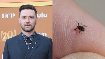 Enfermedad de Lyme: 