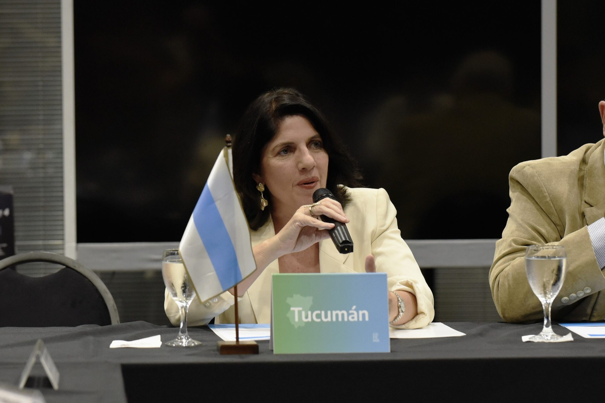 Bosques nativos: En 2023 a Tucumán le tocan $243 millones