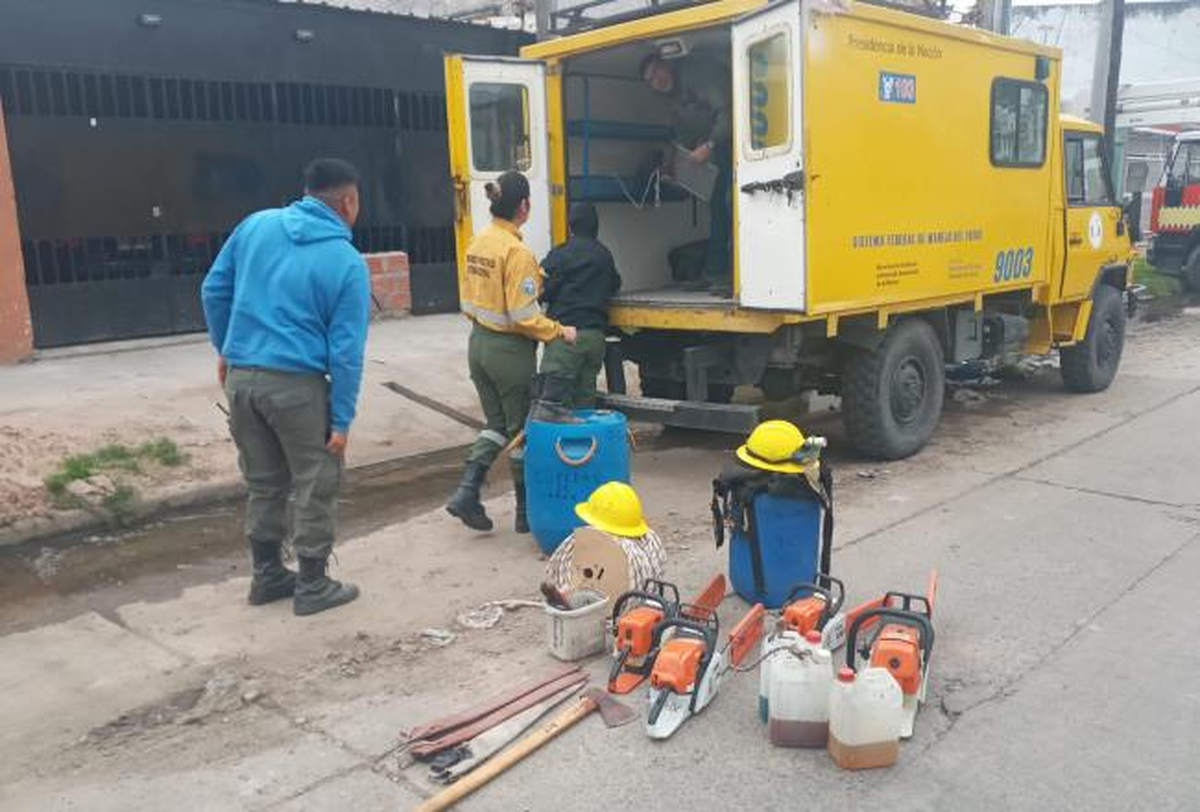 Remueven un eucalipto de 30 metros en el predio de un convento.