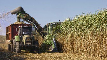 Zafra 2023: esperan que las condiciones mejoren esta semana