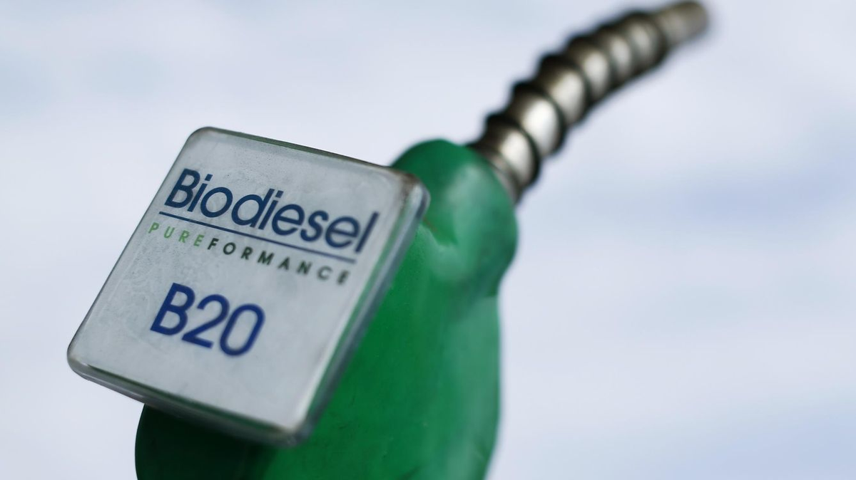 Llevarán el corte de biodiesel al 15%.