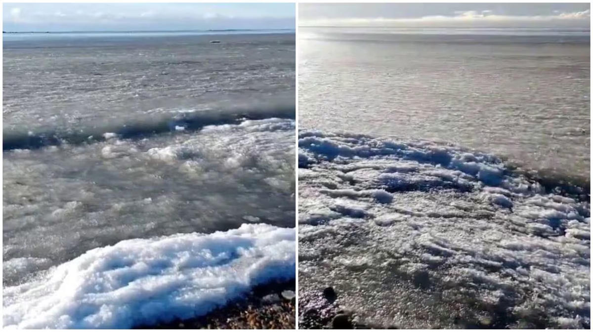 Desde el mar hecho hielo hasta un pato congelado: las impactantes imágenes del país bajo cero. (Foto: TN) Desde el mar hecho hielo hasta un pato congelado: las impactantes imágenes del país bajo cero. (Foto: TN)