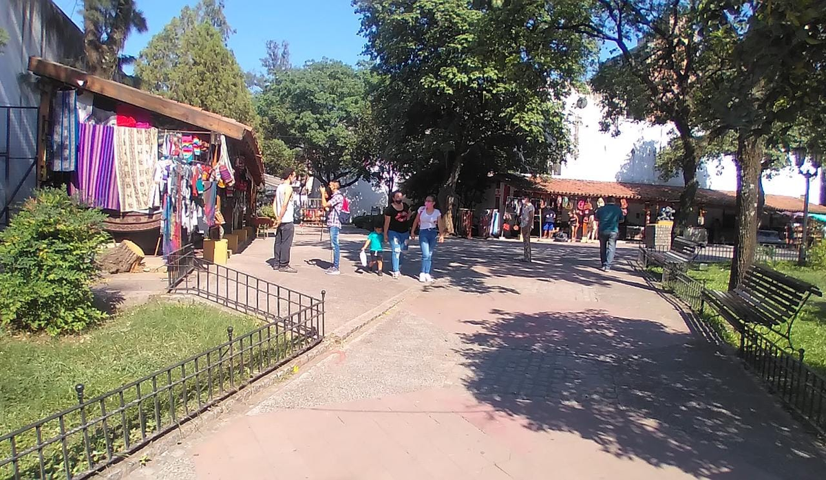 Un &aacute;rbol cay&oacute; cerca de los artesanos de la Congreso.