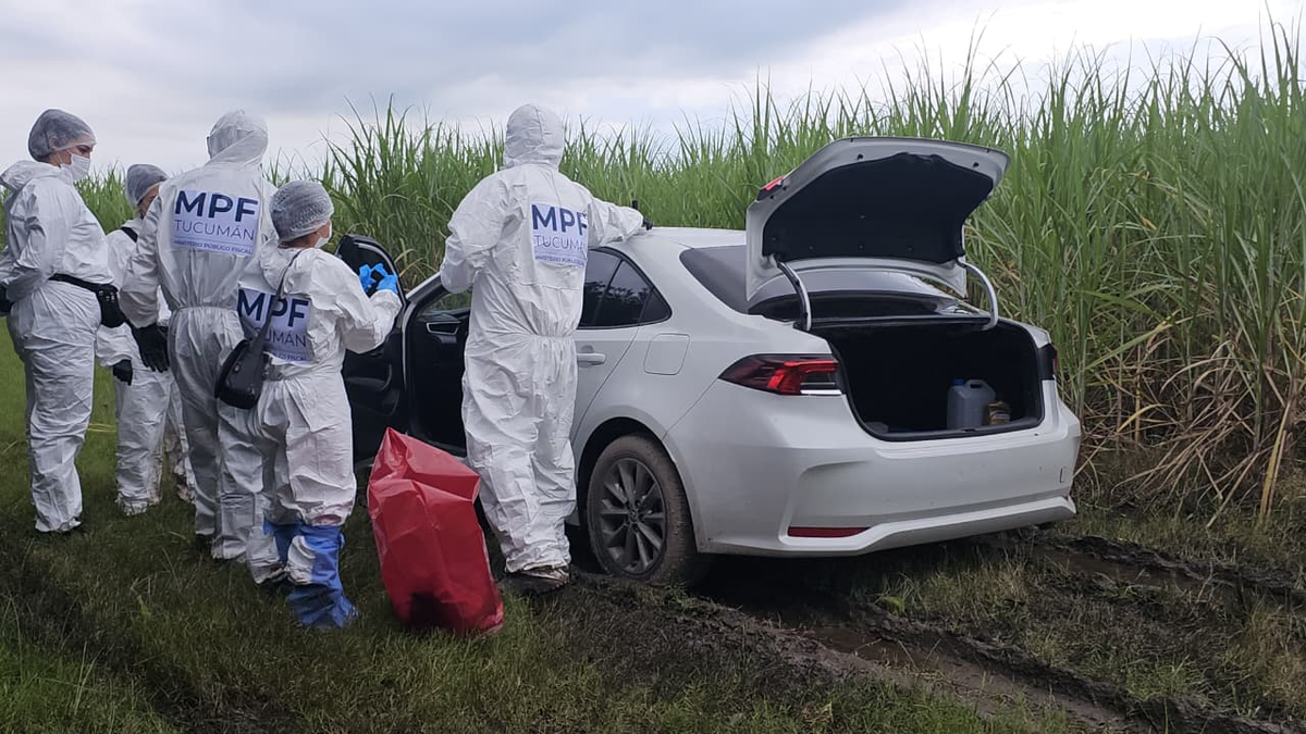 Hallaron con vida a Luis Bueso en una zona de cañaverales