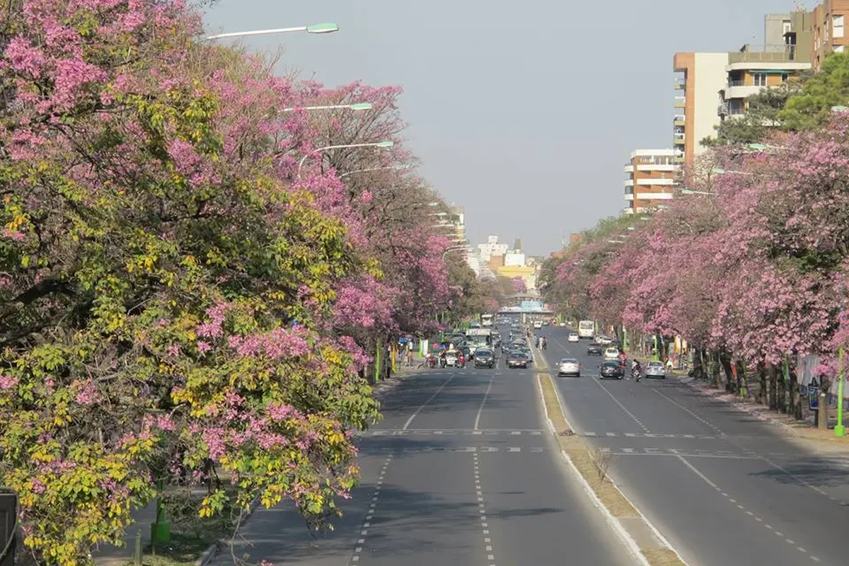 Primavera en Tucumán: anticipan temperaturas superiores a las normales