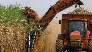 Zafra: las lluvias obligan a algunos ingenios a detener la molienda