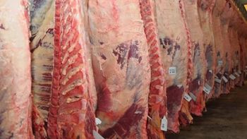 En enero la carne subió entre un 10% y 20%: ¿Qué pasará este mes?