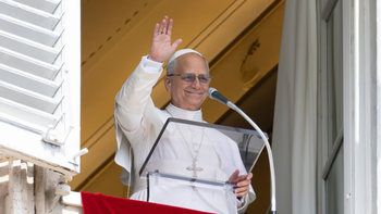 A menos de un mes de la llegada del Papa, cuántos argentinos irían a verlo
