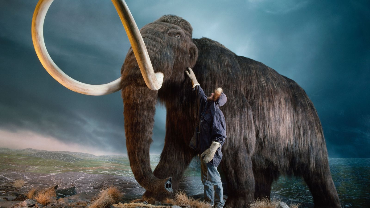 ¿La vuelta del mamut?