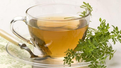 Primero de agosto: ¿Por qué se toma té de ruda?