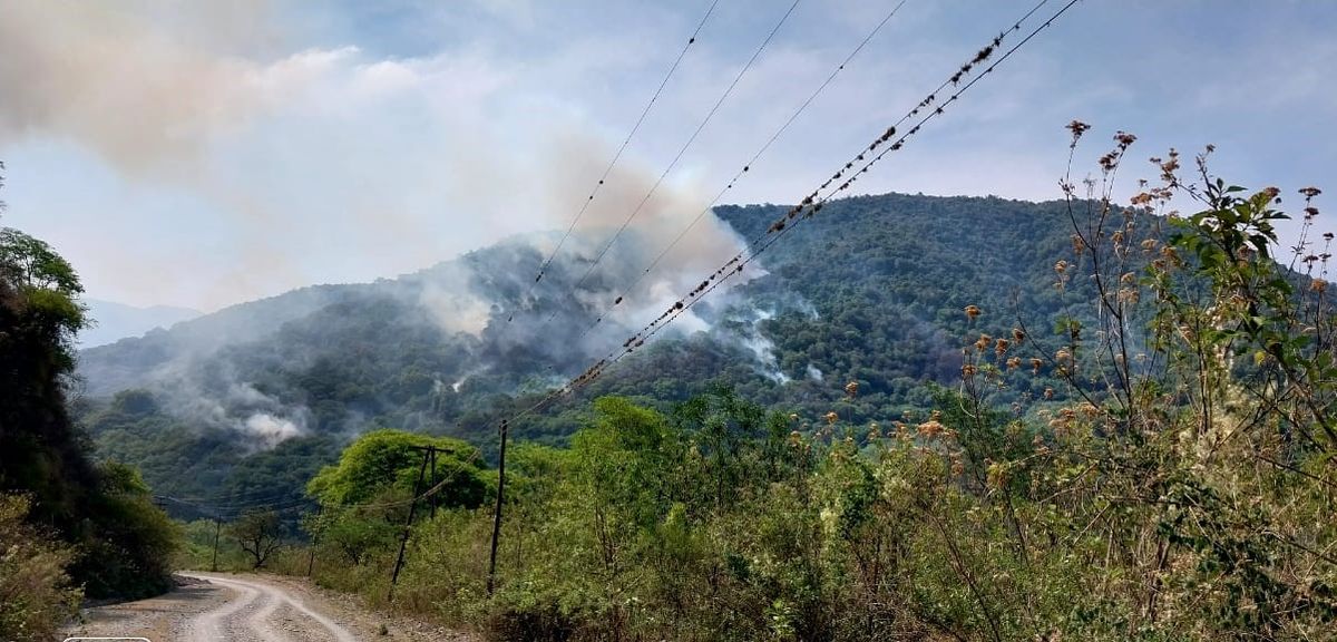 Trancas: Brigadistas y bomberos combaten un incendio forestal
