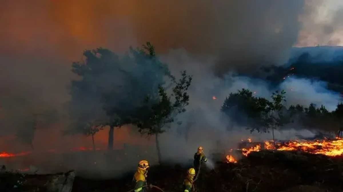 Avanzan los incendios en El Bolsón.  Foto: ámbito  