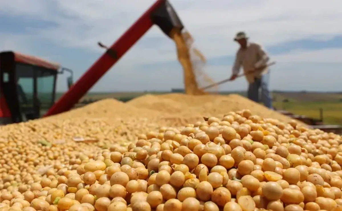 El campo cerró un año récord de exportaciones de granos