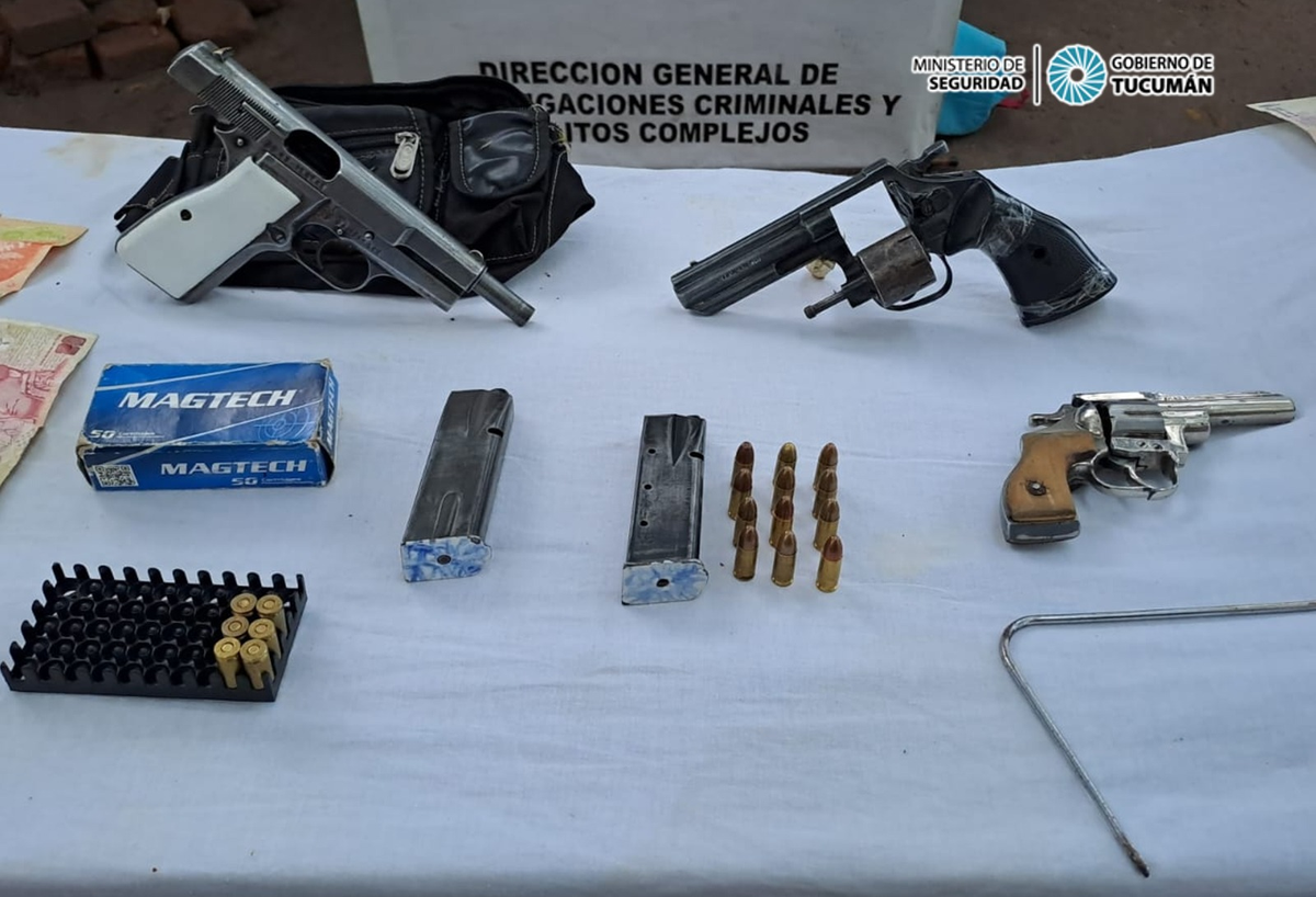 Encuentran una decena de plantas de marihuana en un allanamiento.